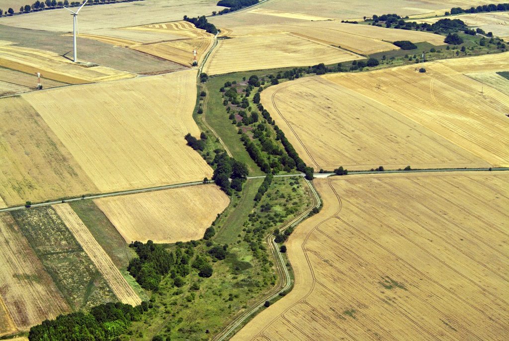 corridoio ecologico