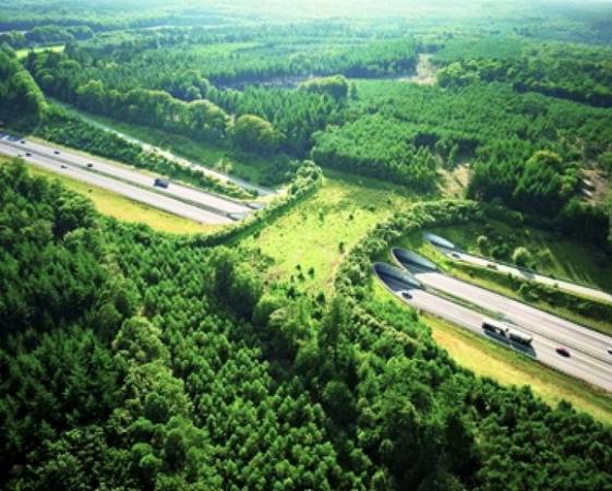 corridoio ecologico