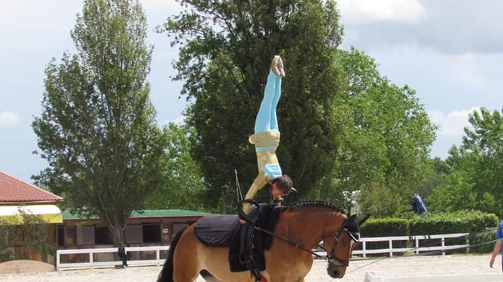 equitazione acrobatica latina