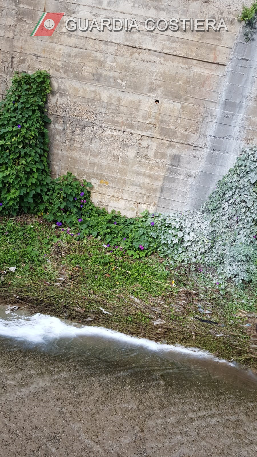 Lo scarico di calce nel Rio Fresco che ha portato alla denuncia dell'impresa edile