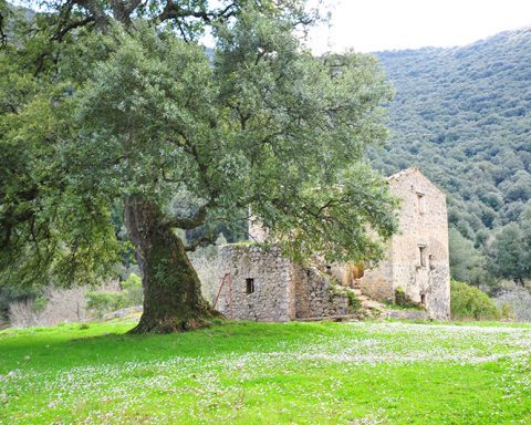 sughereta san vito a monte san biagio