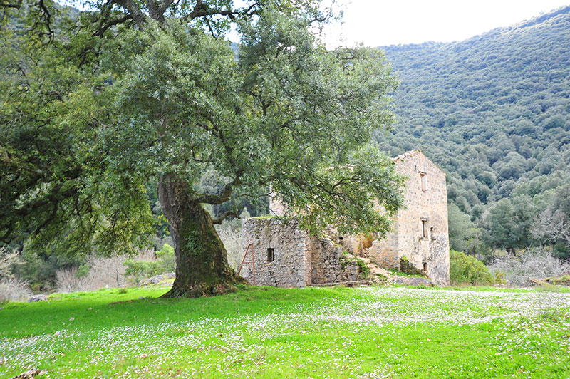 sughereta san vito a monte san biagio