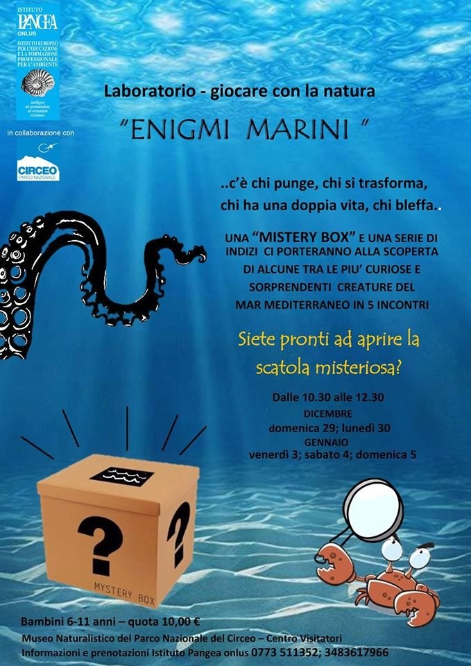 Enigmi marini