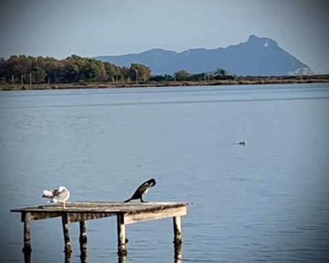 Lago-di-Fogliano