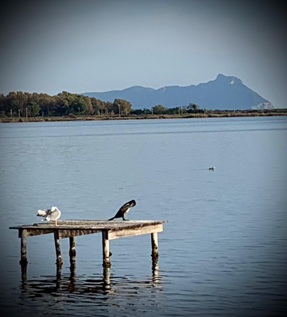 Lago-di-Fogliano