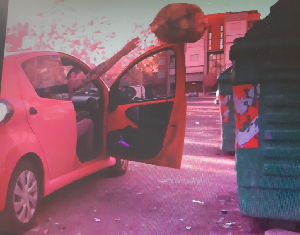 fototrappola