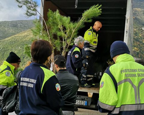 Bosco dei primi nati 2019 a formia