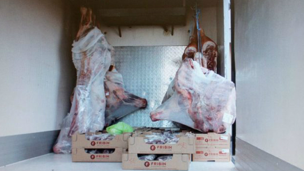 carne estera sequestrata ad aprilia