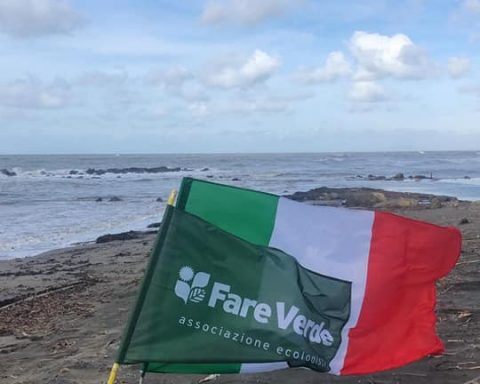 FARE VERDE