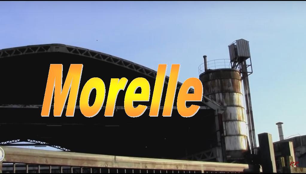 Morelle