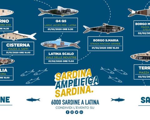 Sardina Amplifica Sardina