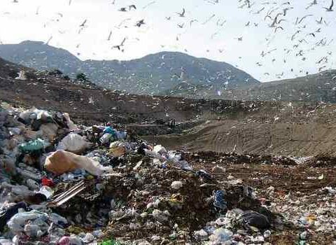 discarica