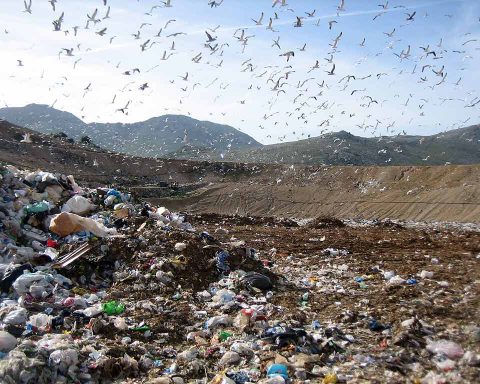 discarica