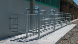 Un esempio di recinzioni corral