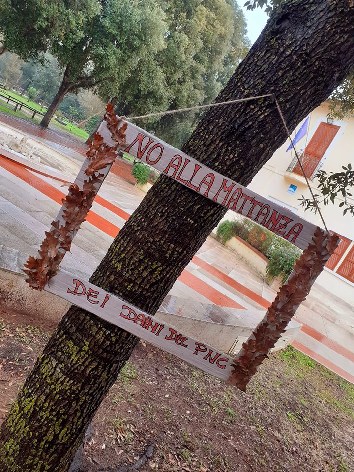 no alla mattanza dei daini nel parco anzionale del circeo