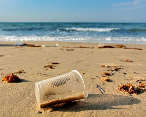 plastic-free