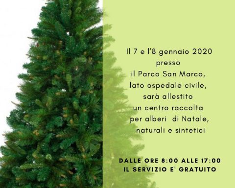 raccolta alberi di Natale