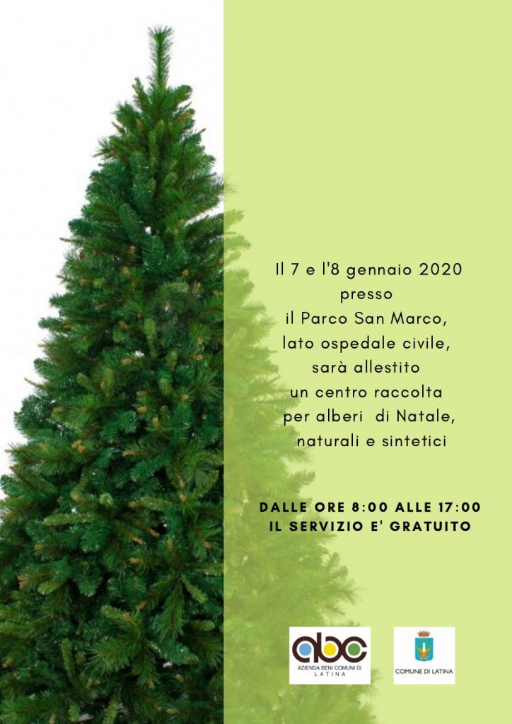 raccolta alberi di Natale