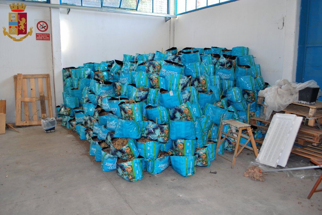sequestro_droga_ardea_2_01_2020_1-2