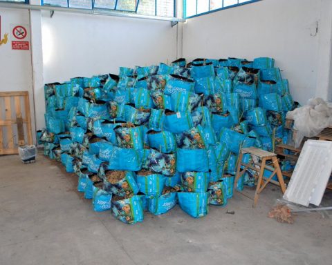 sequestro_droga_ardea_2_01_2020_1-2