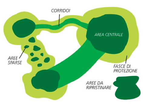 Rete ecologica territoriale