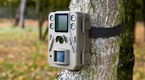 Un esempio di fototrappola (foto di archivio)