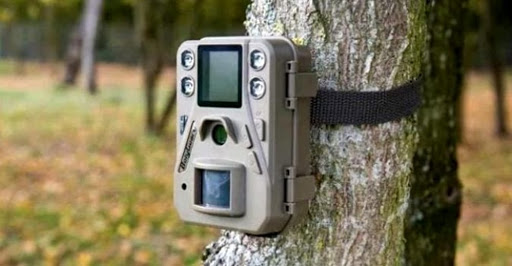 Un esempio di fototrappola (foto di archivio)