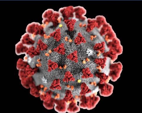 coronavirus