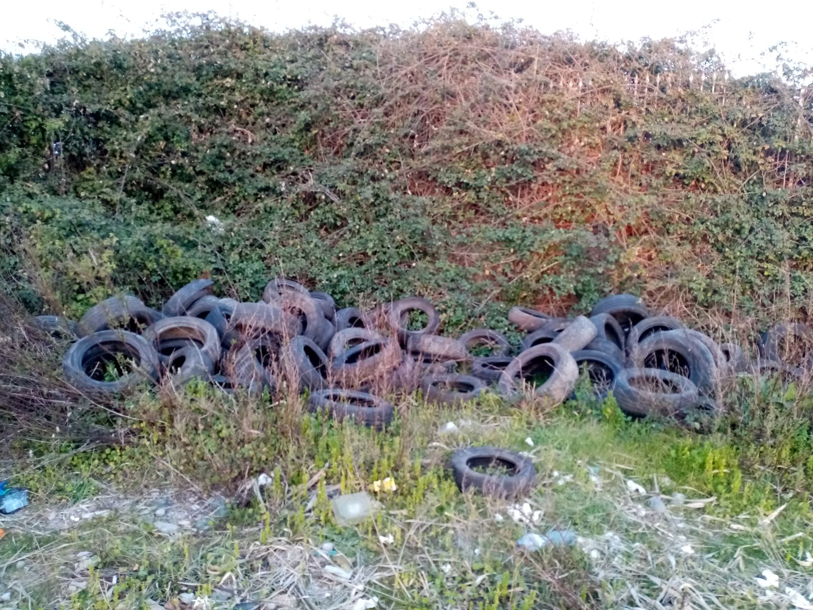 pneumatici Fondi Lago