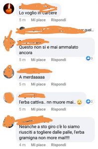 Insulti Zingaretti