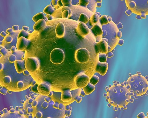 coronavirus