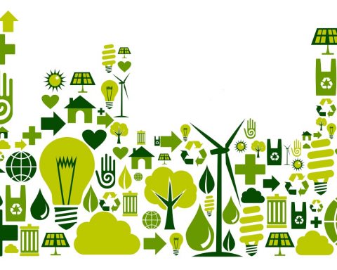 Green Economy