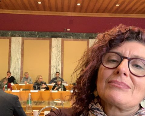 Nicoletta Zuliani, consigliere comunale Dem