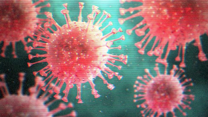 coronavirus