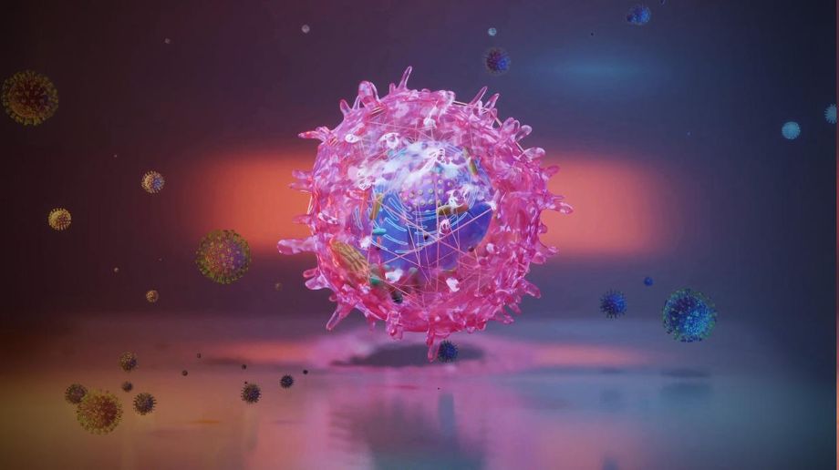 coronavirus