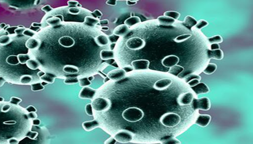 coronavirus