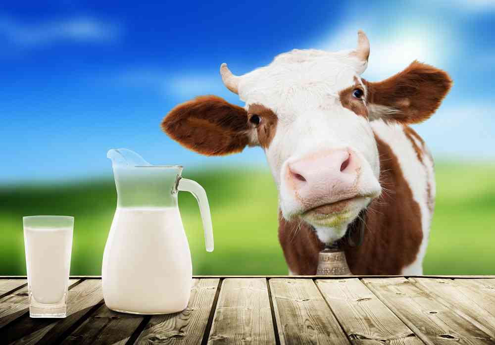 latte