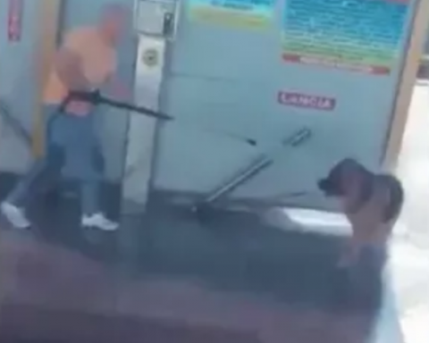 CANE AUTOLAVAGGIO