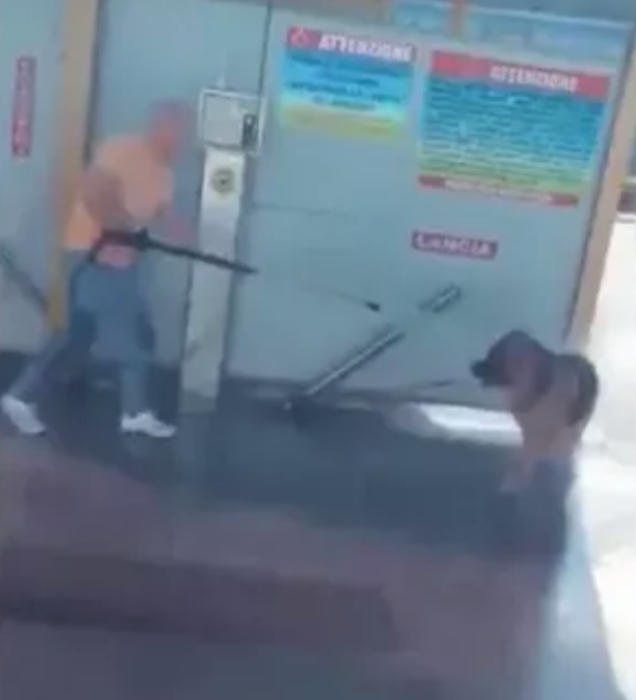 CANE AUTOLAVAGGIO