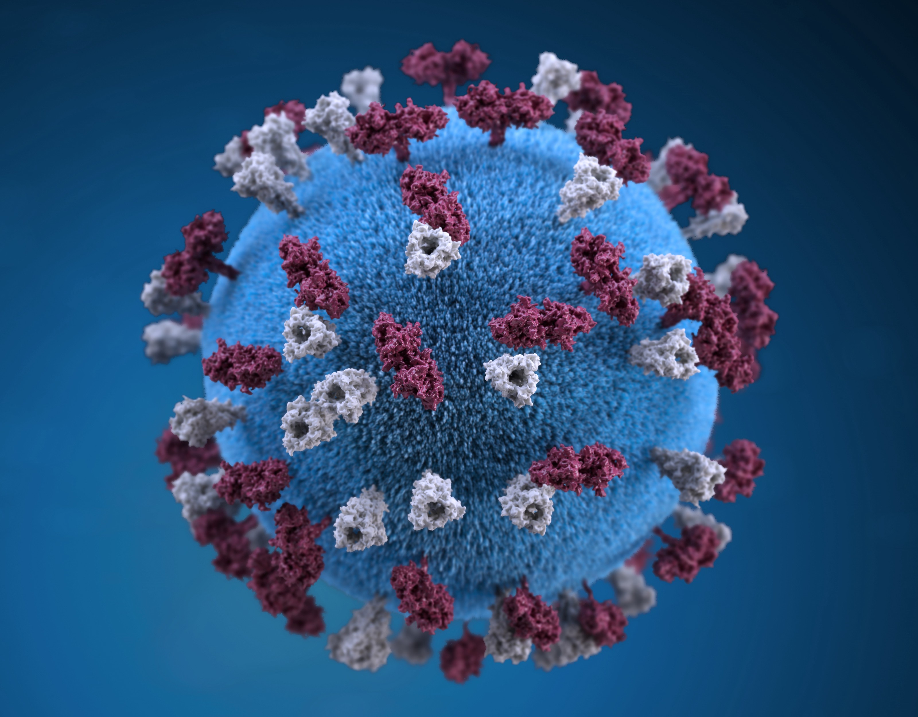CORONAVIRUS