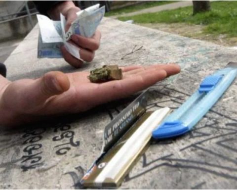 HASHISH