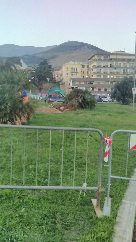 Molo Vespucci (foto risalenti al 2017)