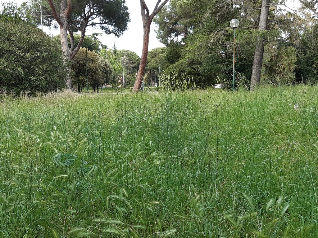 Parco Falcone e Borsellino di Latina