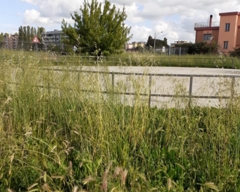 Parco Faustinella, Latina Scalo