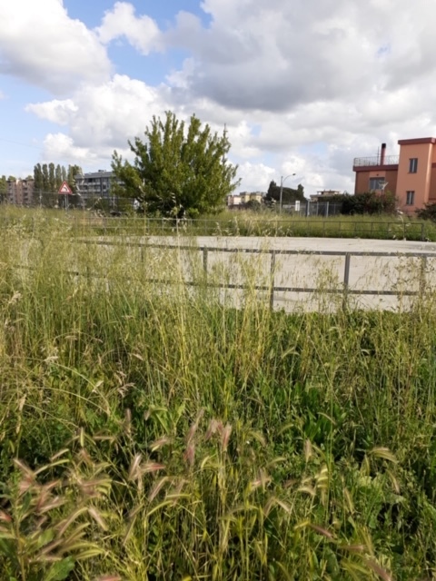 Parco Faustinella, Latina Scalo