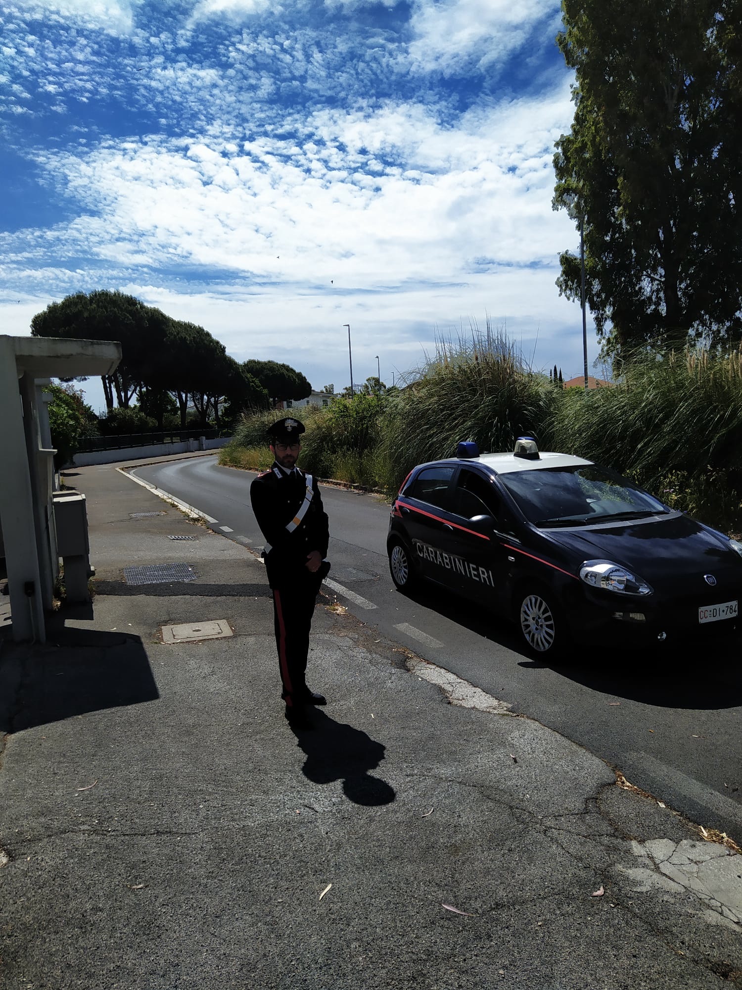 ciolfi