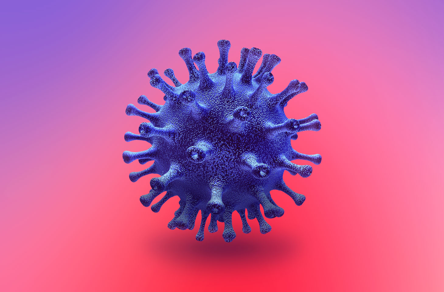 coronavirus