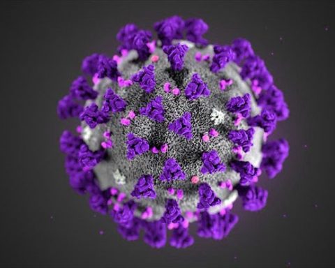 coronavirus