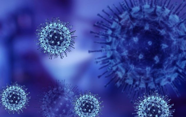 coronavirus