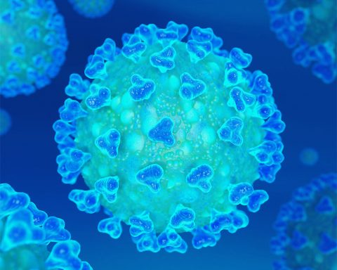 coronavirus